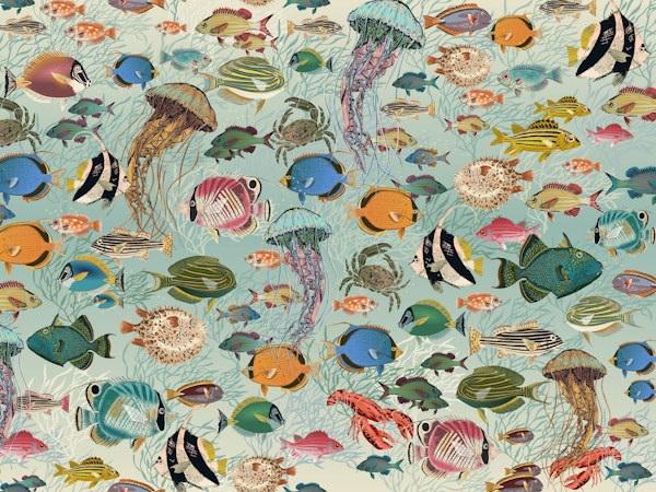 ocean fishes gradient