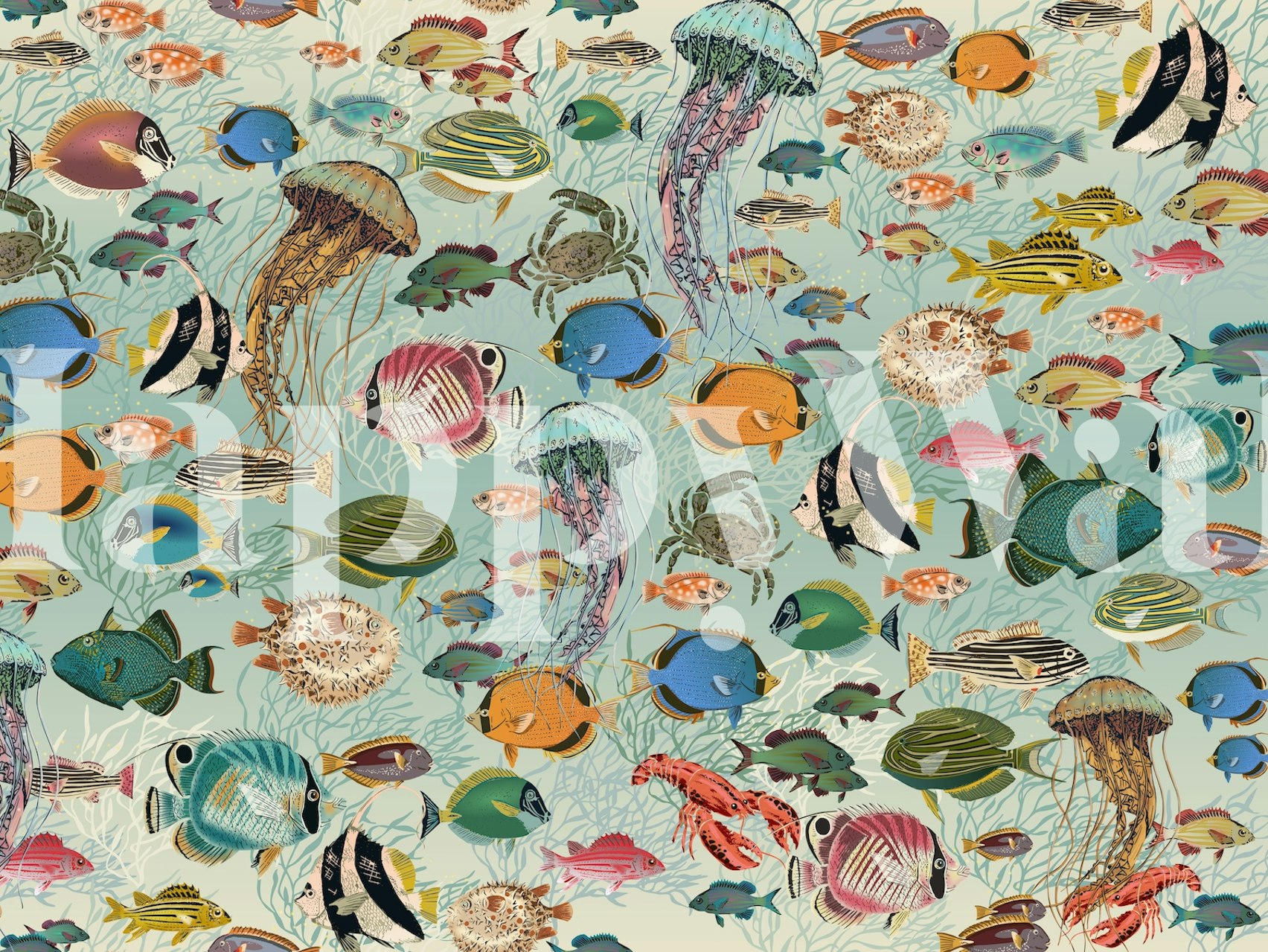 Colorful fish and jellyfish pattern in shades of blue and orange wallpaper