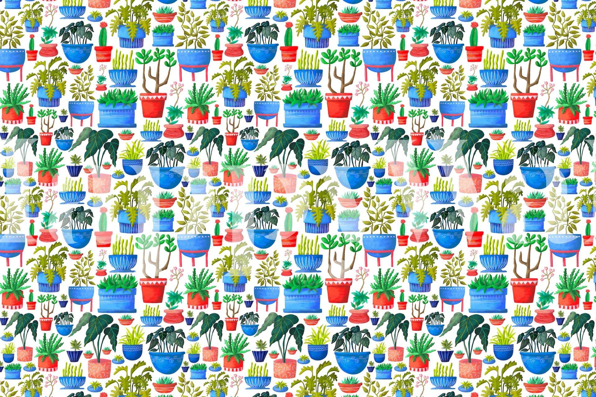 Colorful houseplants in various pots on white background wallpaper