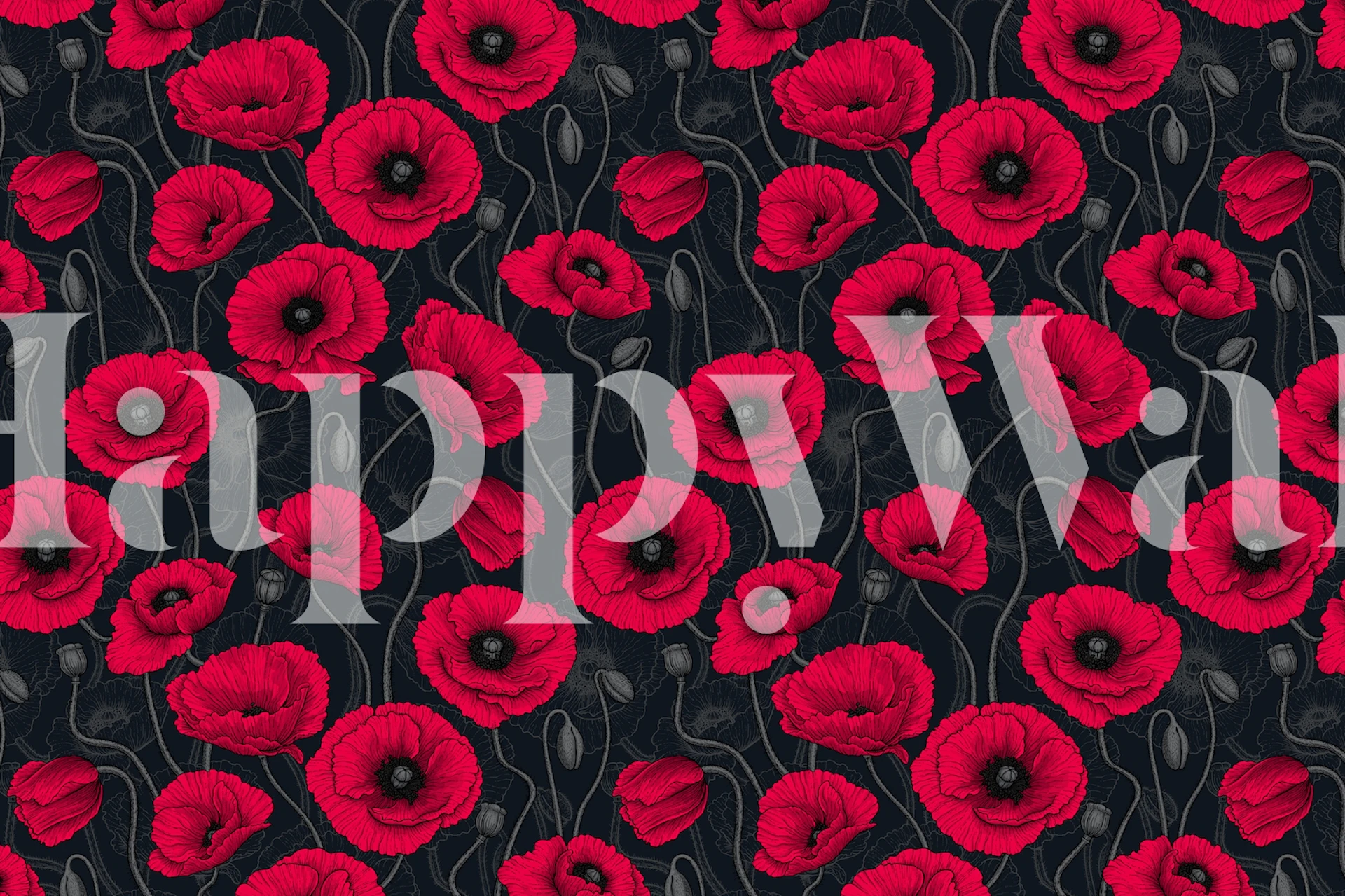 Red poppy flowers with green stems on black background wallpaper