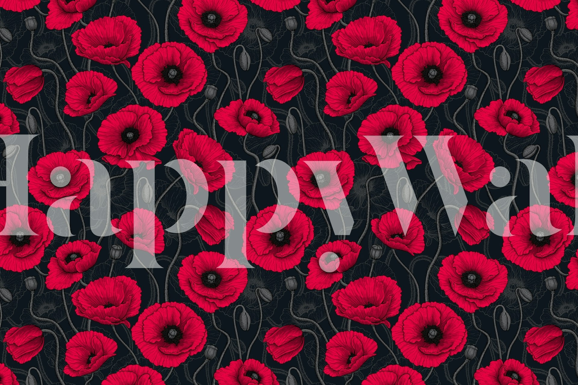 Red poppy flowers with green stems on black background wallpaper