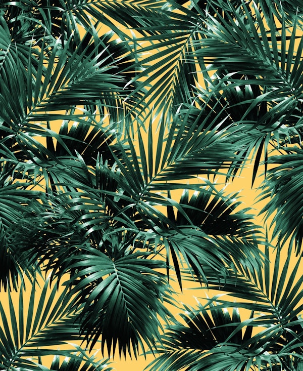 Tropical Palm Leaf Jungle 2