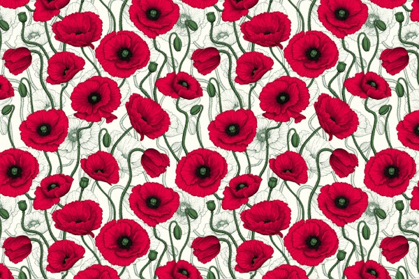 Red Poppies 7
