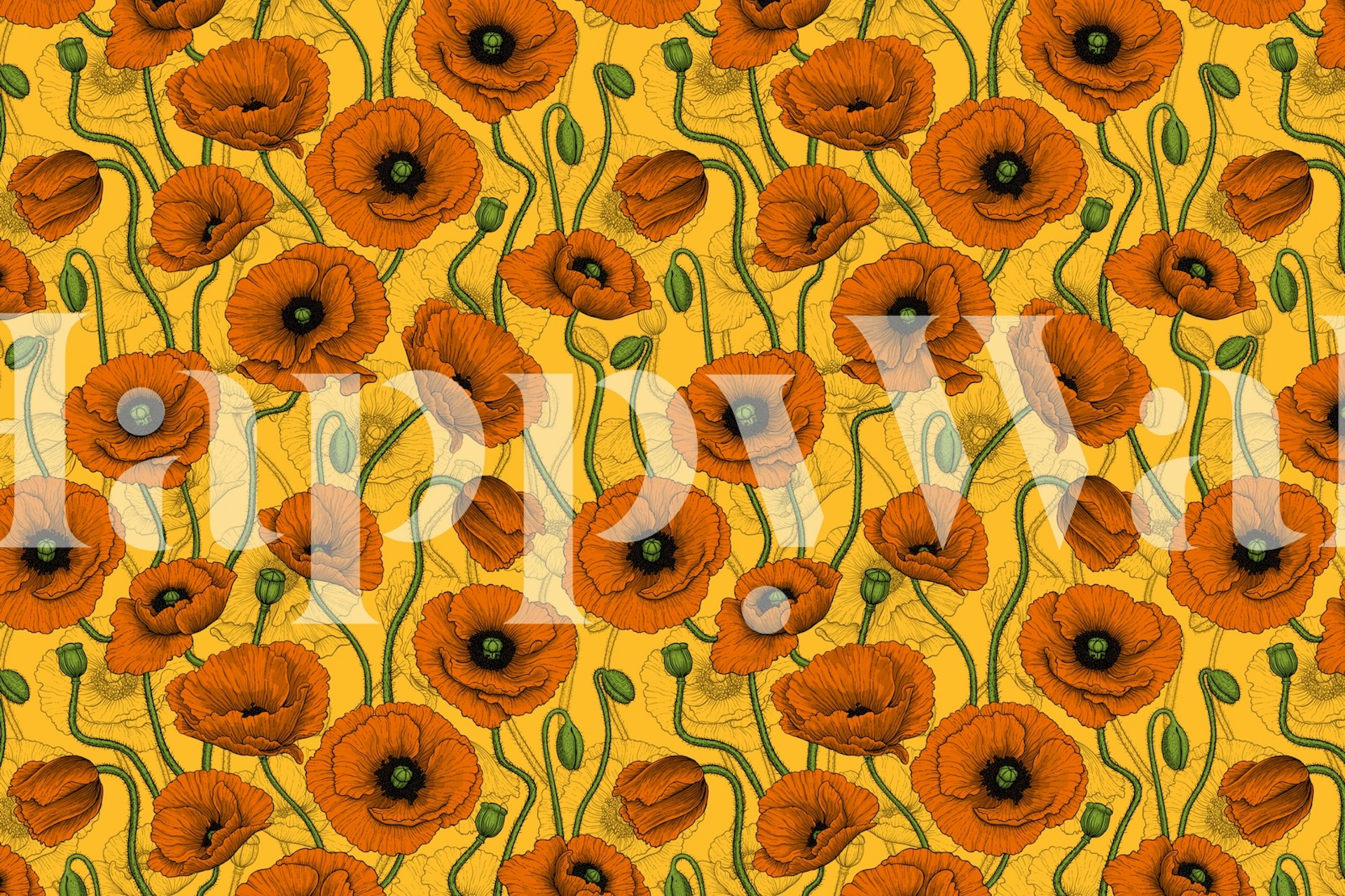 Ταπετσαρία Orange Poppies σε ένα δωμάτιο