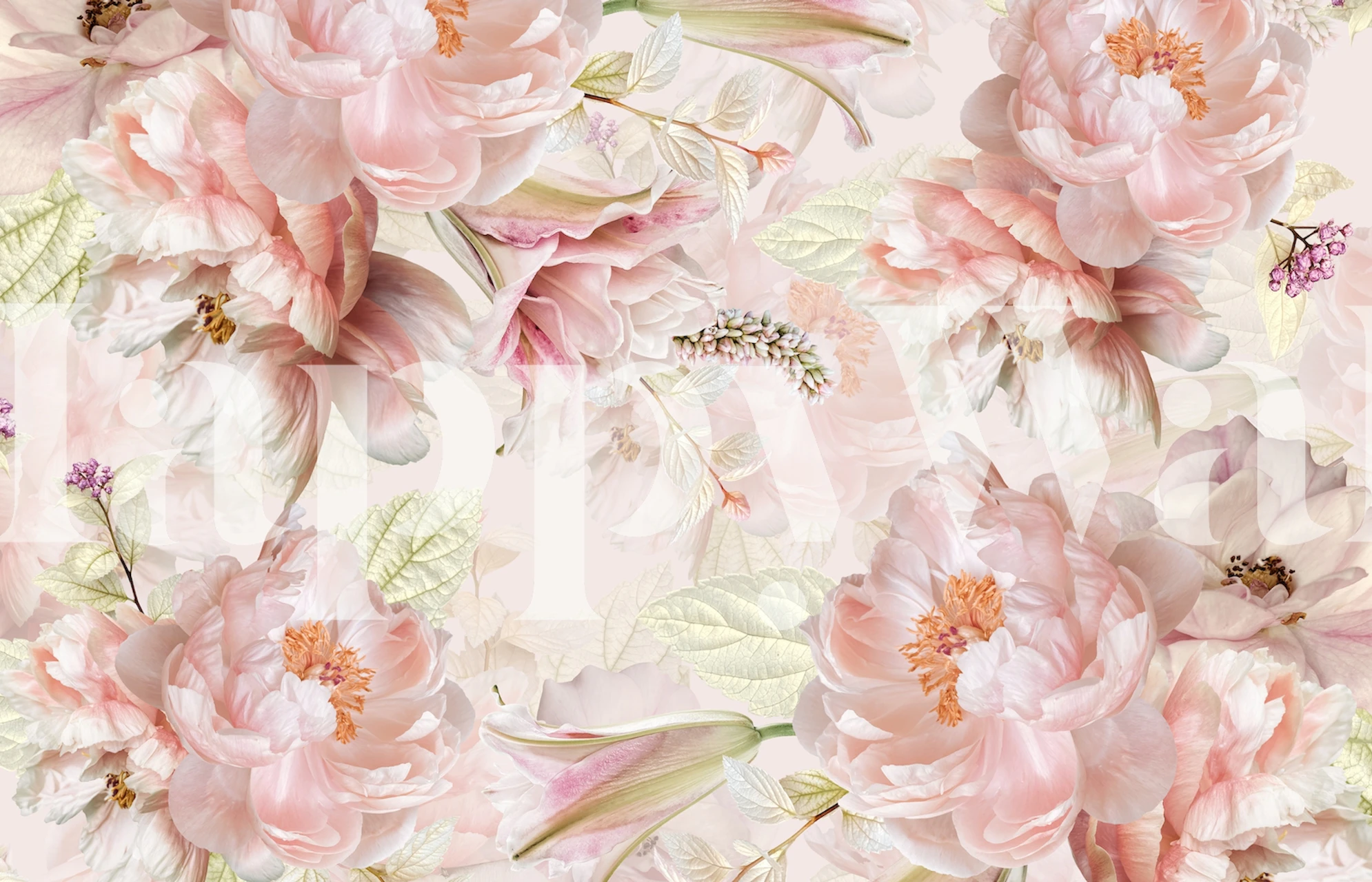Floral Peonies design in soft pink and white tones wallpaper