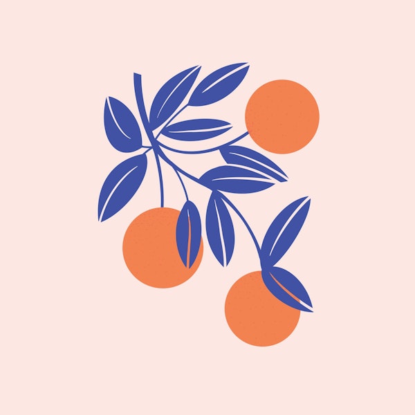 Cheerful Oranges