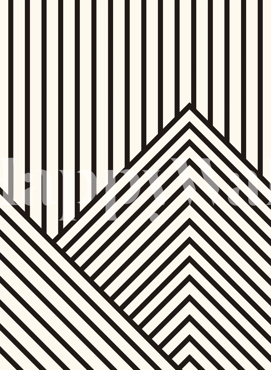Black and white geometric lines and patterns wallpaper