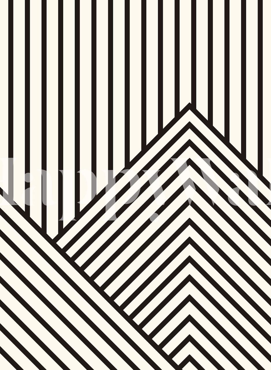 Black and white geometric lines and patterns wallpaper