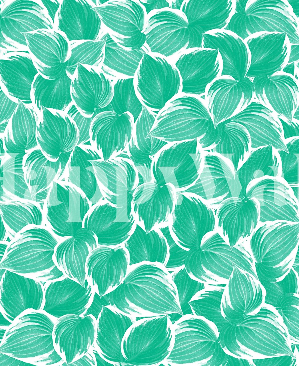 Fotomural vinílico de parede de folhas verdes frescas de verão para decoração de casa