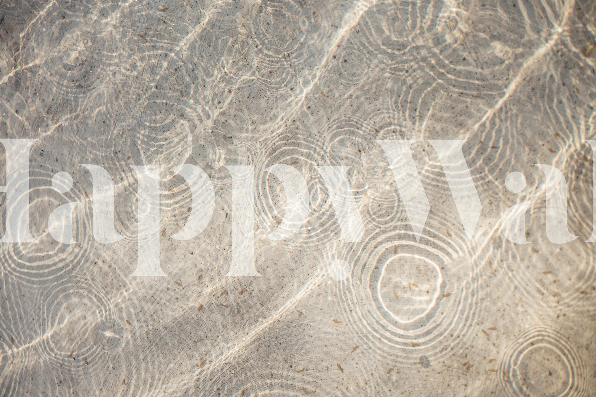 Subtle water ripples wall mural with light reflections