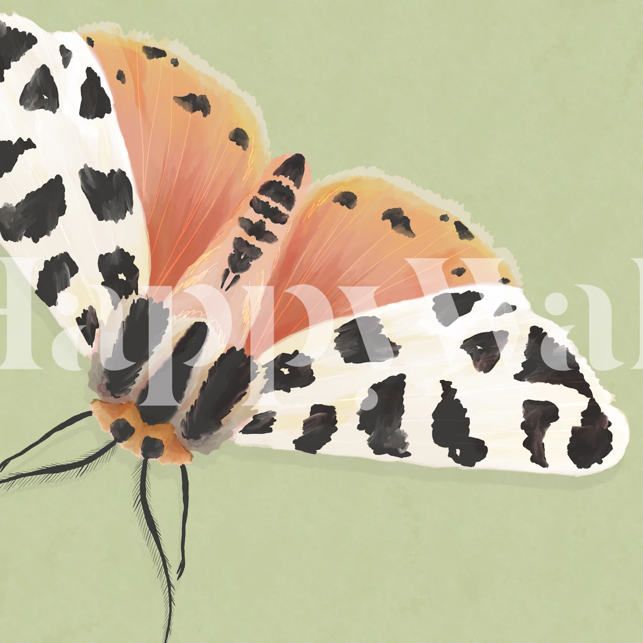 Tiger Moth II wallpaper in a room setting