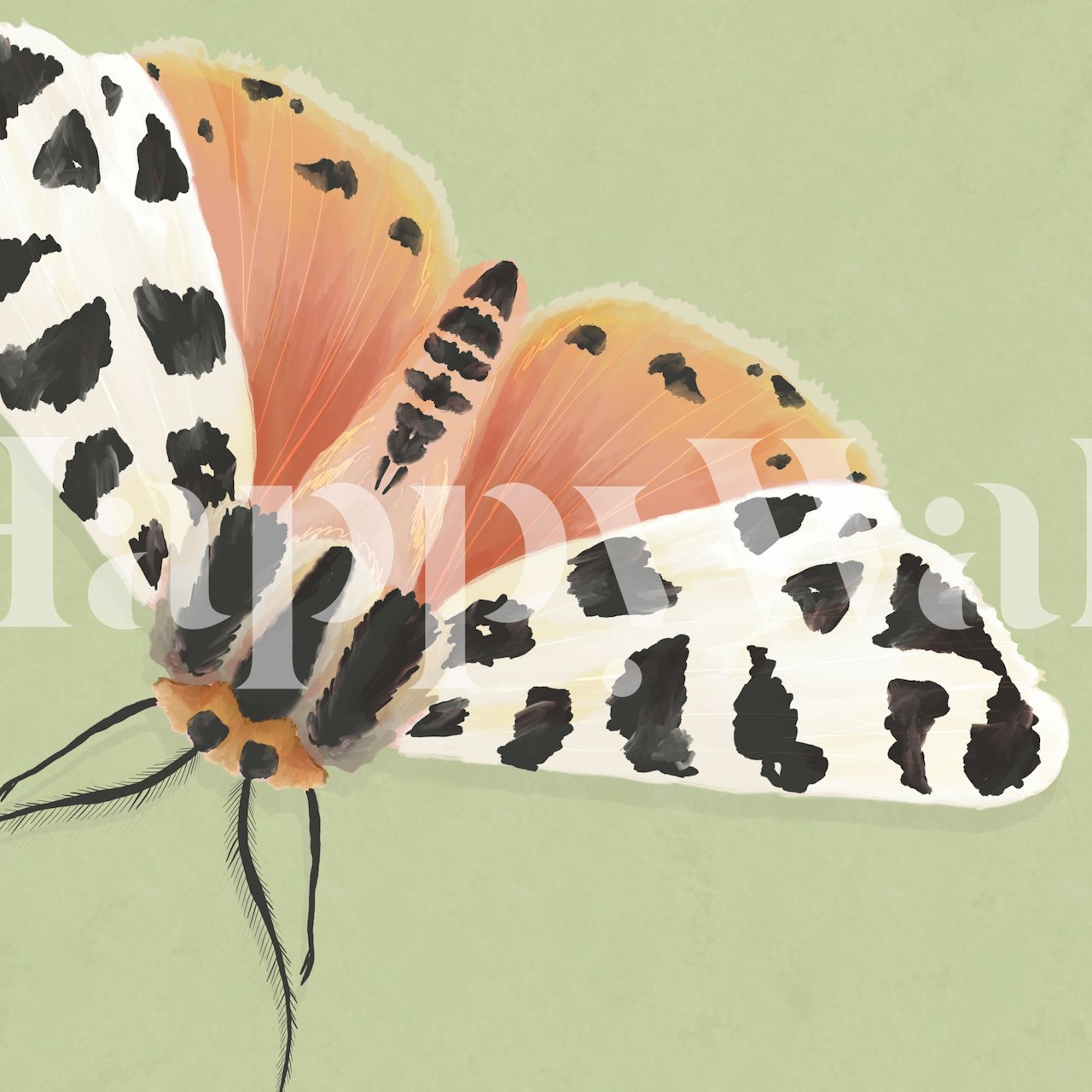 Tiger Moth II wallpaper in a room setting