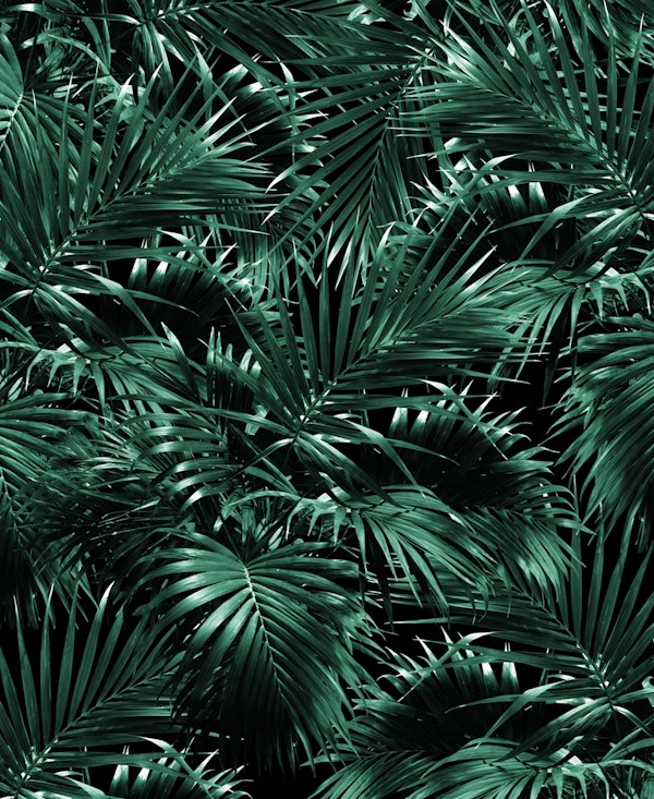 Tropical Palm Leaf Jungle 12