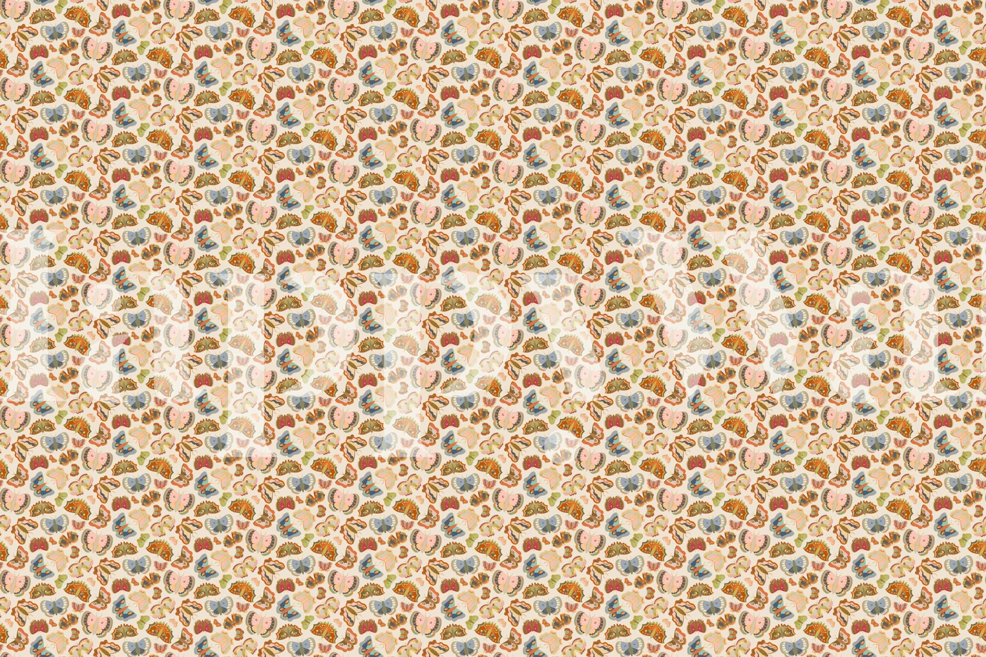 Colorful moth patterns in shades of orange and blue on a soft background wallpaper