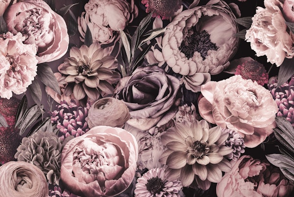 Moody Baroque Floral Pink