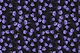 Midnight Bellflowers