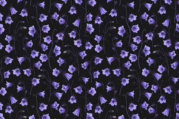 Midnight Bellflowers