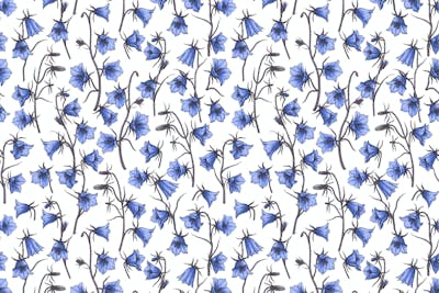 Τοιχογραφία