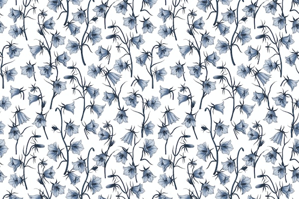 Bellflowers in blue and white