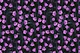 Midnight Bellflowers 6
