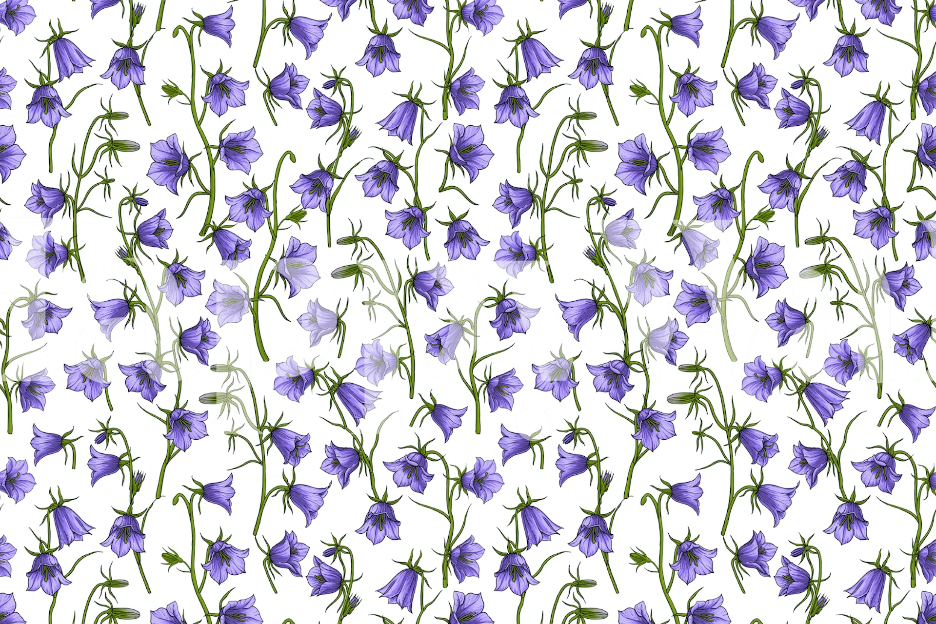 Bellflowers in Violet wall mural with a repeating pattern of violet bell-shaped flowers on a white background