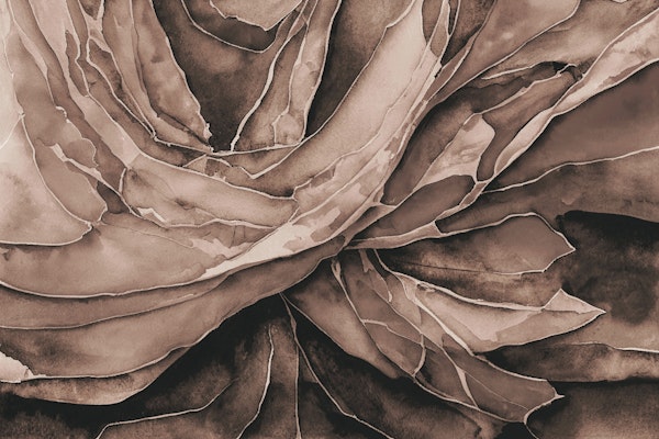 Wavy Abstract Watercolor Brown