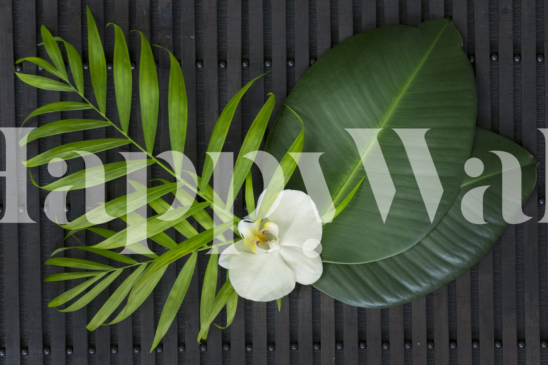 Green Leaves Orchid Zen wallpaper in a room