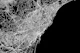 Barcelona Black Map