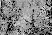 Dallas Black Map papel de parede
