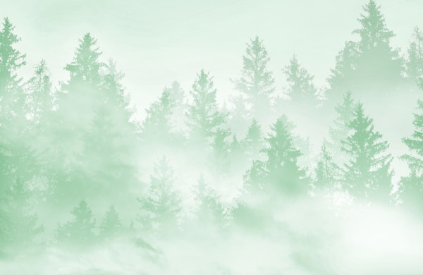 Soft Green Forest Dream 1
