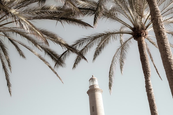 Lighthouse and Palms 1