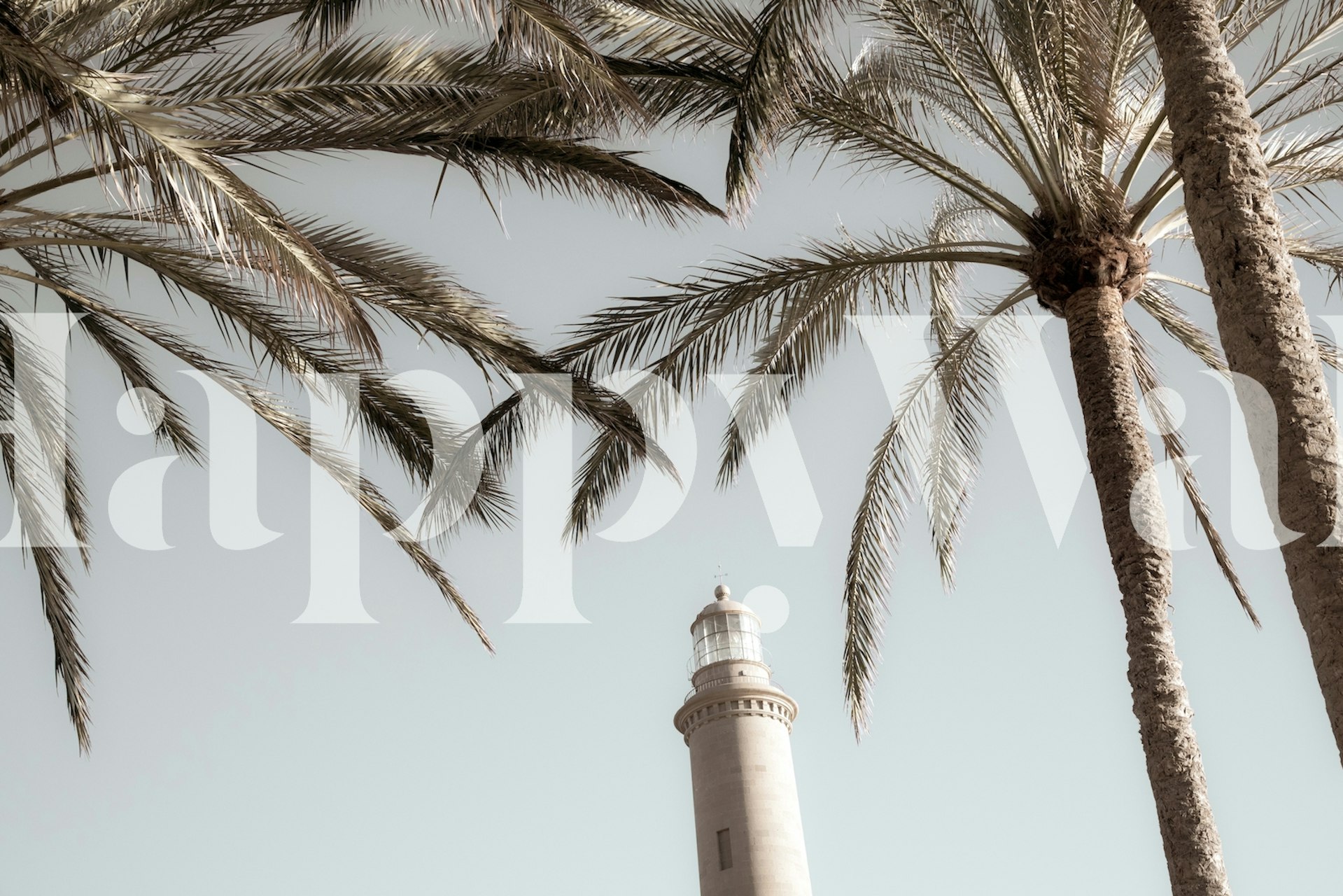 Lighthouse surrounded by palm trees against a light background wallpaper