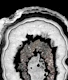 Gray Black White Agate 2a