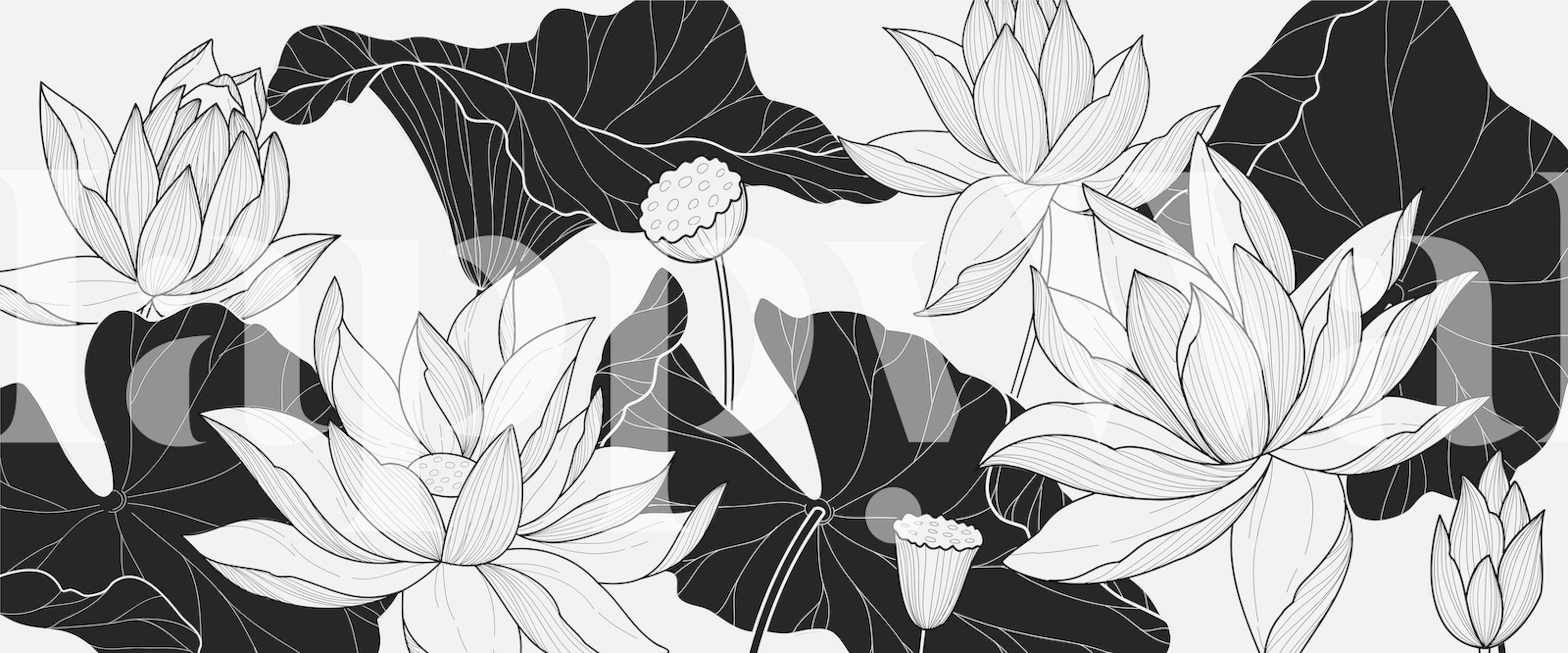 Black and white botanical wallpaper featuring lotus flowers and leaves.