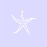 Lavender Sea Star Art ταπετσαρία