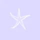 Lavender Sea Star Art