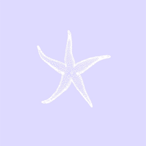 Lavender Sea Star Art