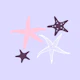 Pale Purple Sea stars
