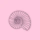Sea shell Baby Pink Room