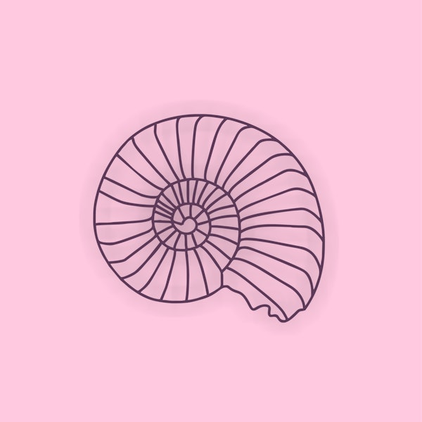 Sea shell Baby Pink Room