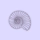 Lavender Sea Shell