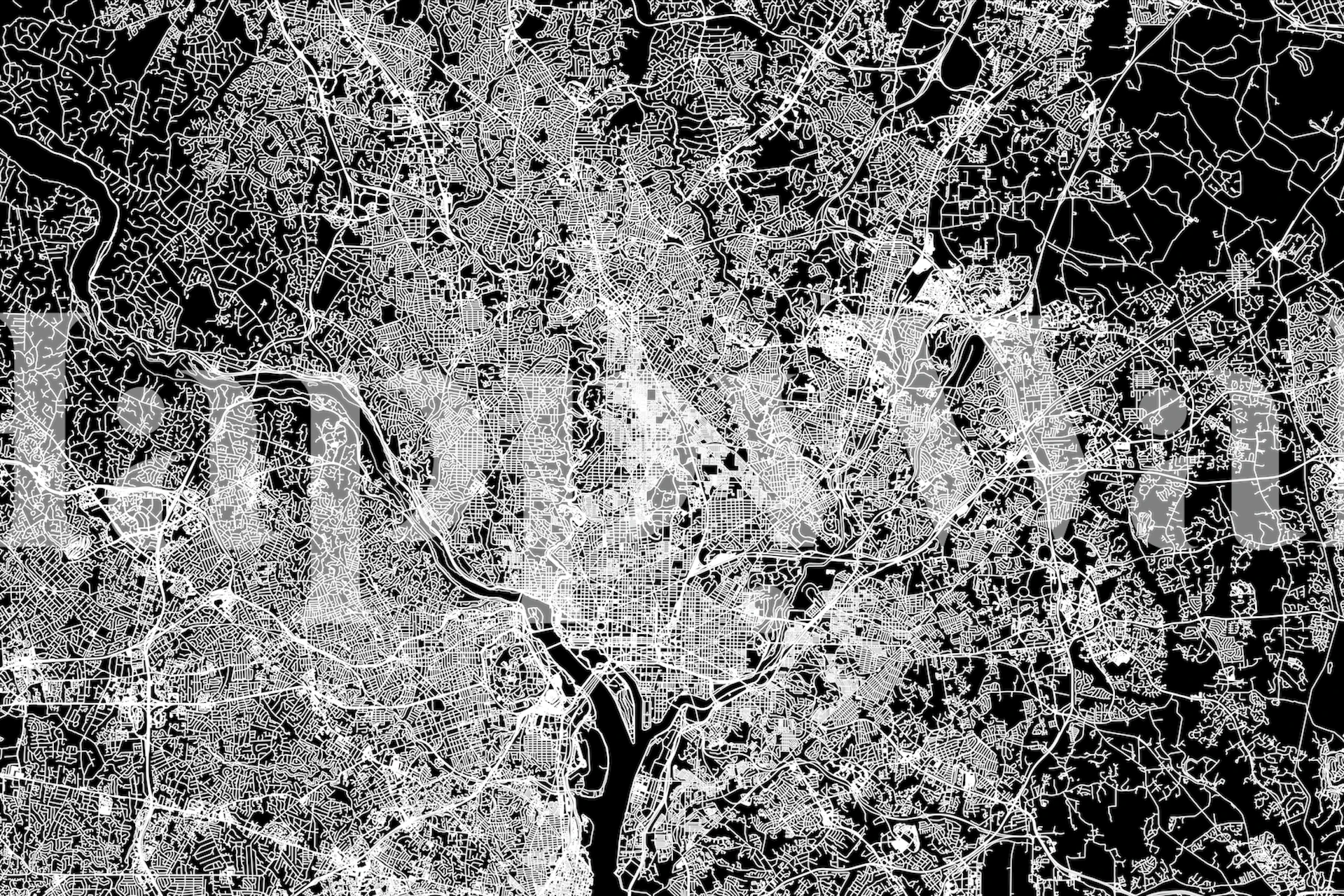 Washington DC black map wallpaper in a room