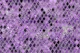 Mermaid Scales Glam 7