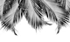 Palm Leaves Finesse 3