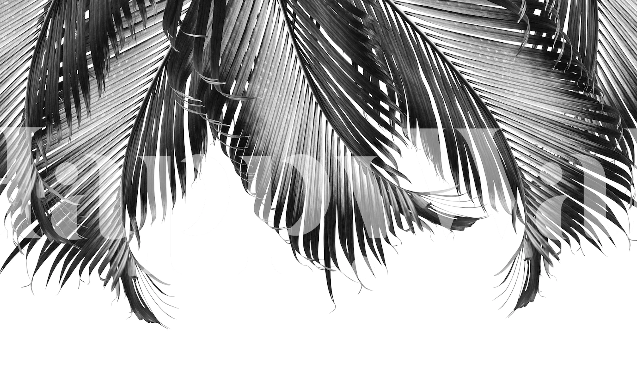 Schwarz-weißes Palmblatt-Design-Wandbild für die moderne Inneneinrichtung