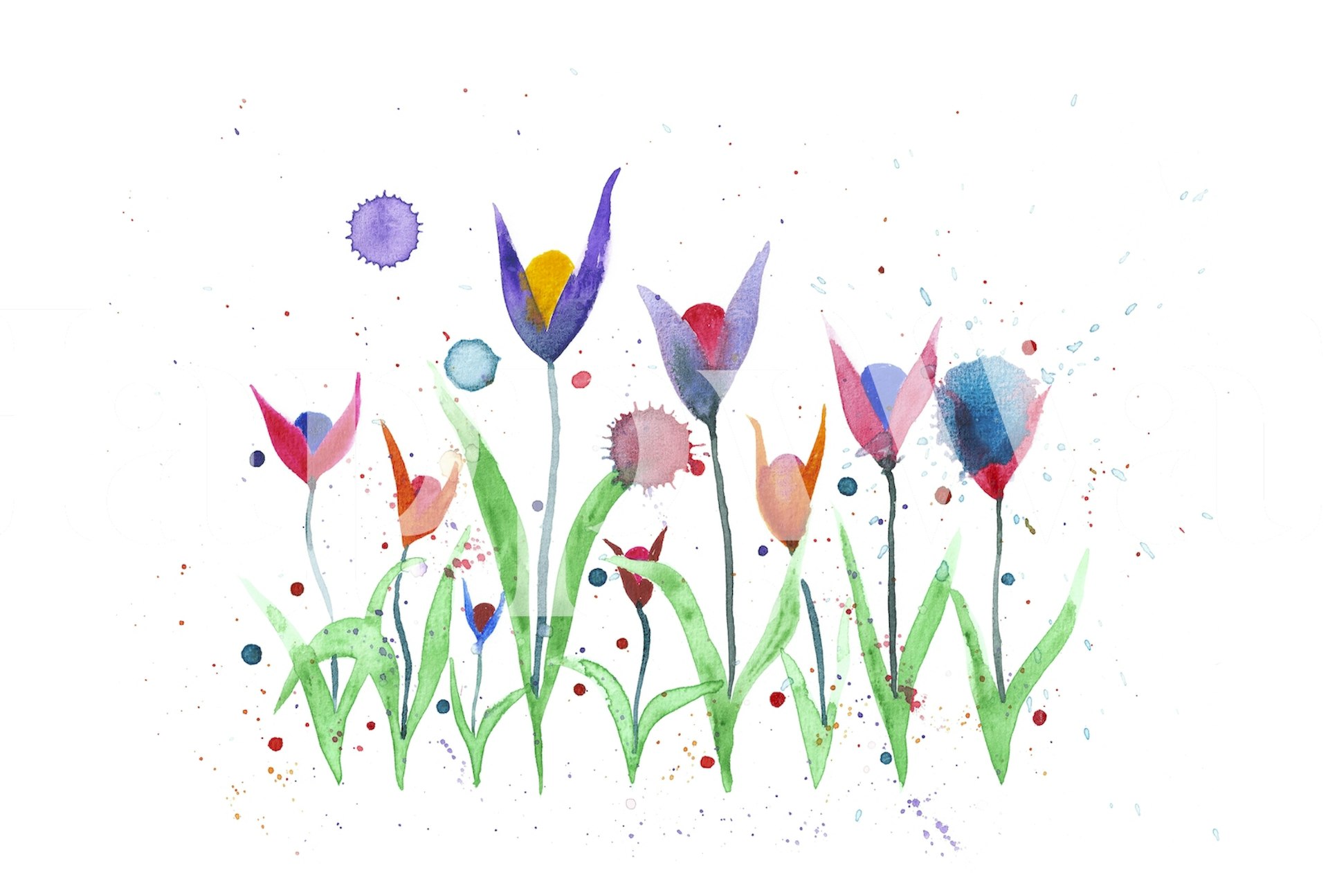 Fototapeta akvarel květiny s pastelovými tóny na bílém pozadí