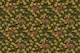 Rabbits and dandelions