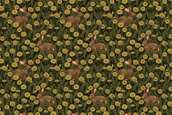 Rabbits and dandelions