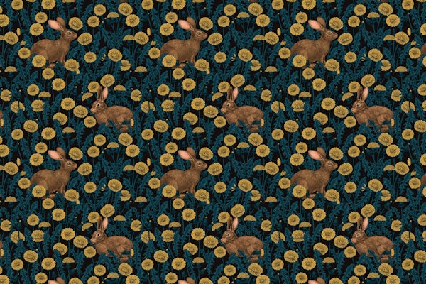 Rabbits and dandelions 2