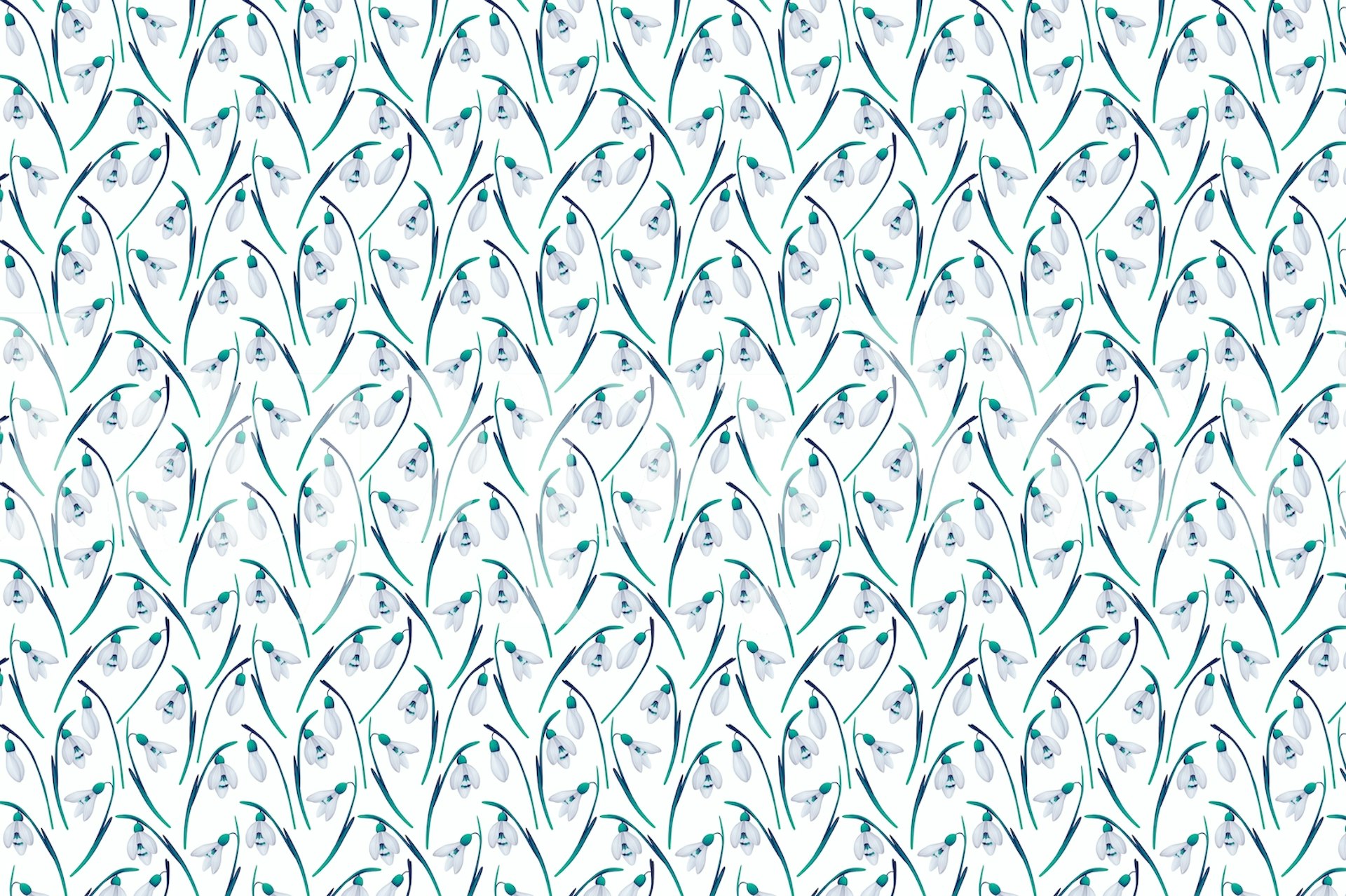 Snowdrop tapet i en rominnredning